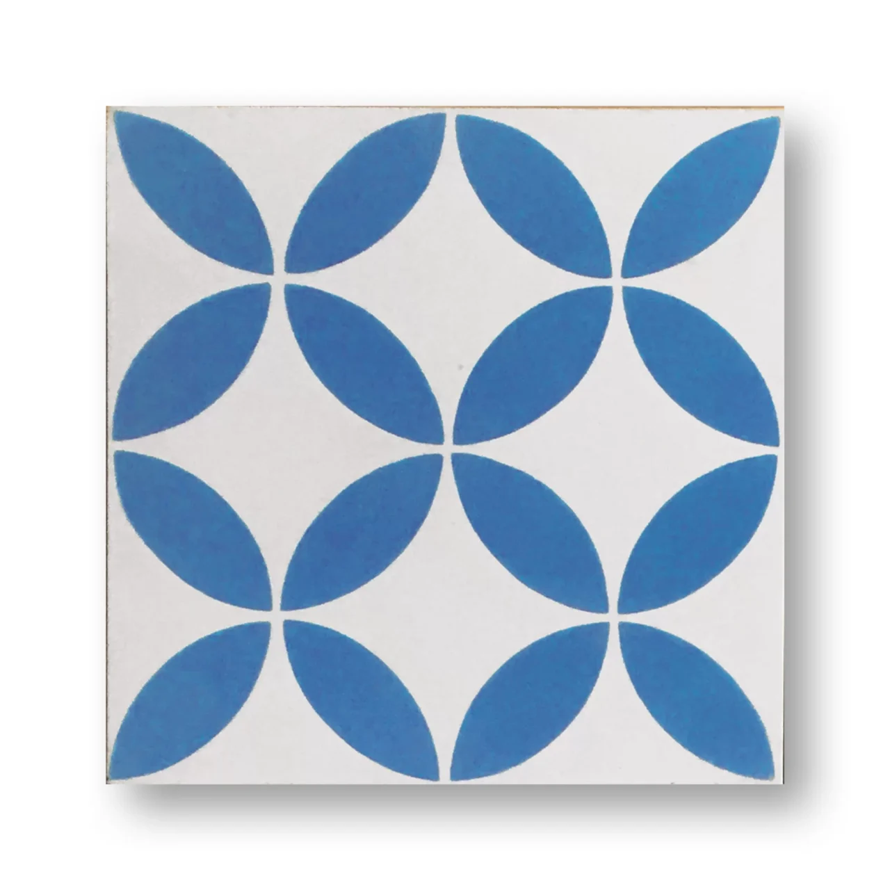https://promocionsolazul.com/wp-content/uploads/2024/07/alicatados-1280x1280.webp
